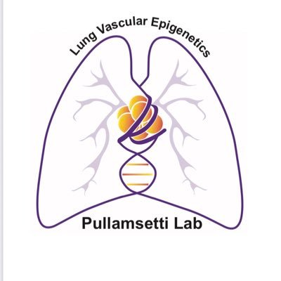 Pullamsetti Lab - Lung Vascular Epigenetics